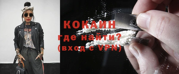стаф Аркадак