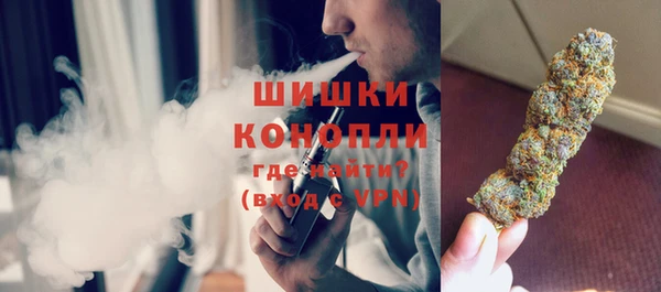 прущие грибы Арсеньев