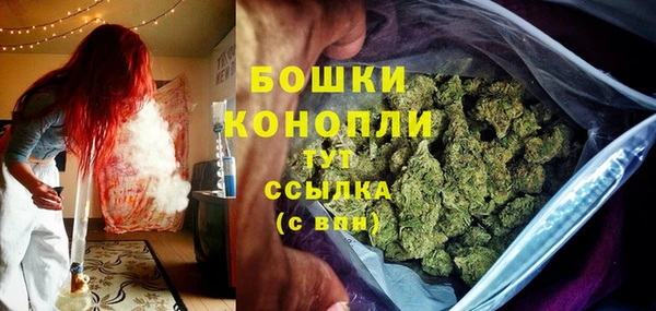 стаф Аркадак