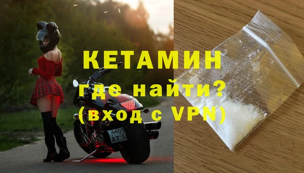 стаф Аркадак