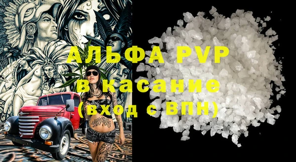 стаф Аркадак