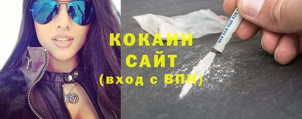 стаф Аркадак